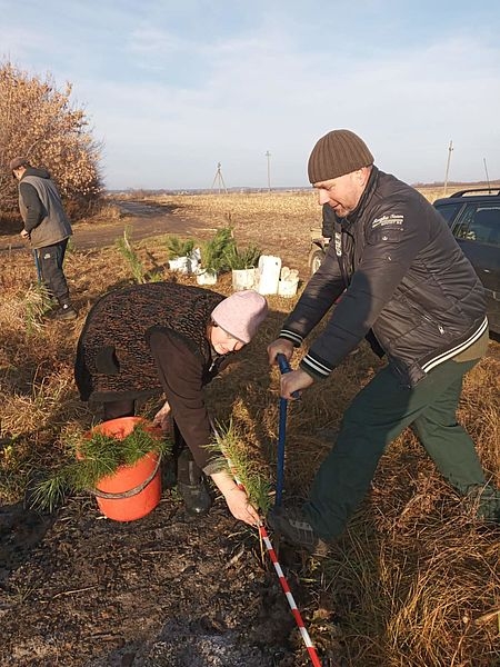 Тульчинські лісівники разом із місцевими жителями озеленюють населені пункти