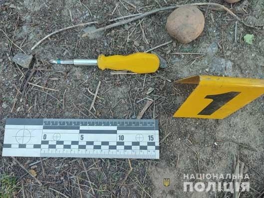 В Літині двоє спритників намагалися викрасти авто з подвір'я власника