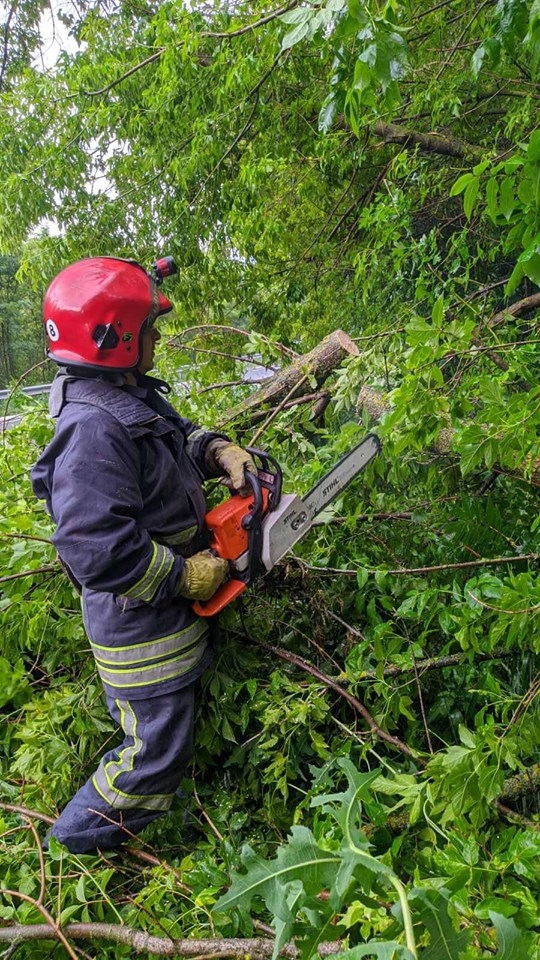 повалені дерева рятувальник