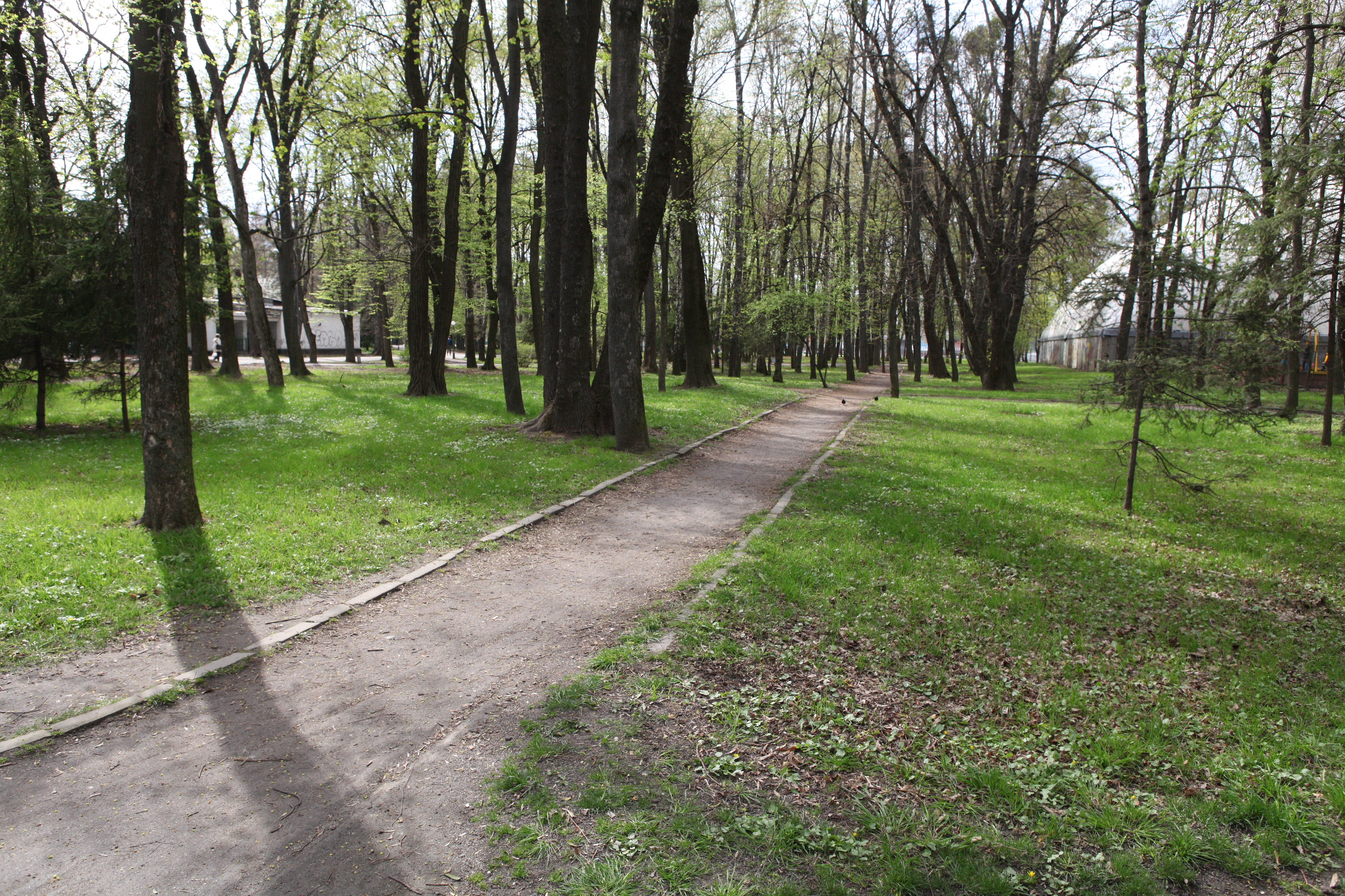 У Вінницькому центральному парку навели лад на території