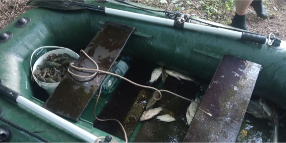 На Гайсинщині браконьєри наловили риби на понад півмільйона гривень