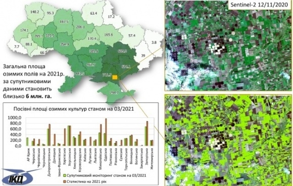 Вінницькі посіви озимини оцінили за космічними знімками