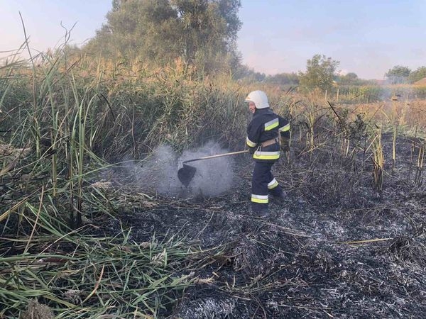 За добу, 13 вересня, на Вінниччині сталося дев'ять пожеж в екосистемах