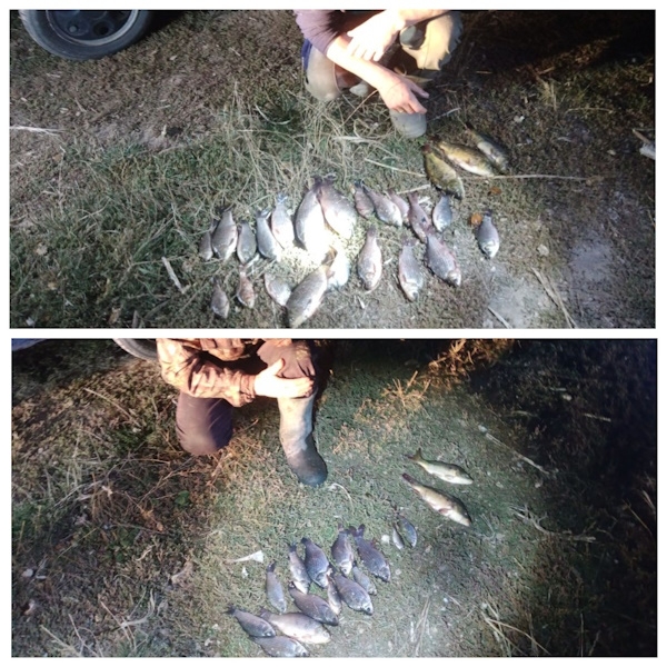 На Вінниччині рибалки-браконьєри завдали збитків на понад 73 тис. грн