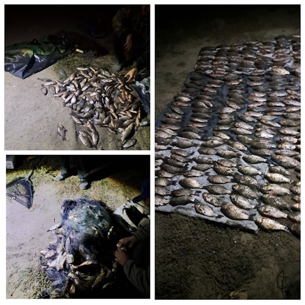 На Жмеринщині браконьєр наловив сітками риби на майже 400 тис. грн
