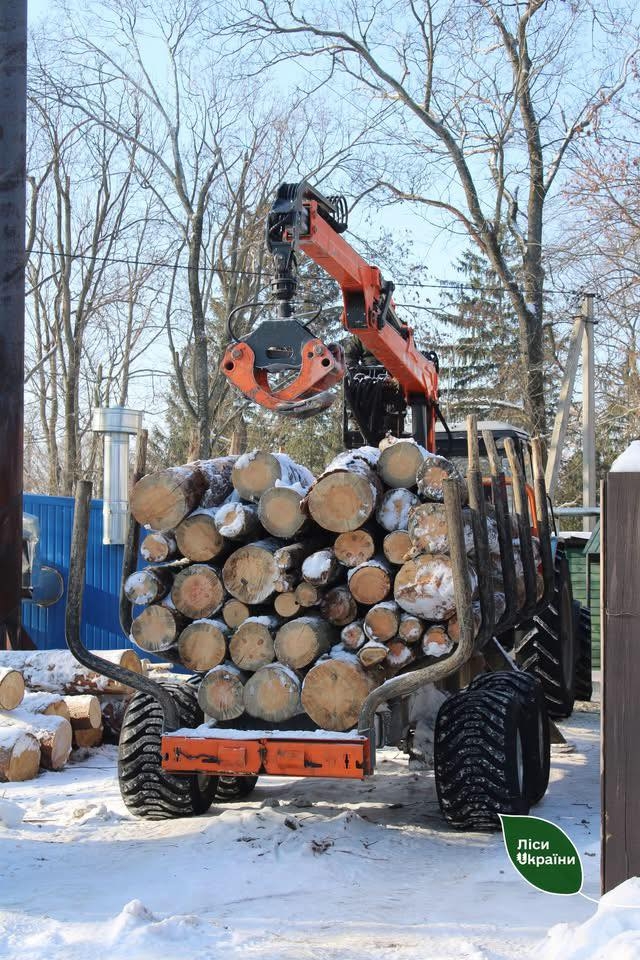 Вінницька область у ТОП-10 регіонів, де найбільше закуповують дрова