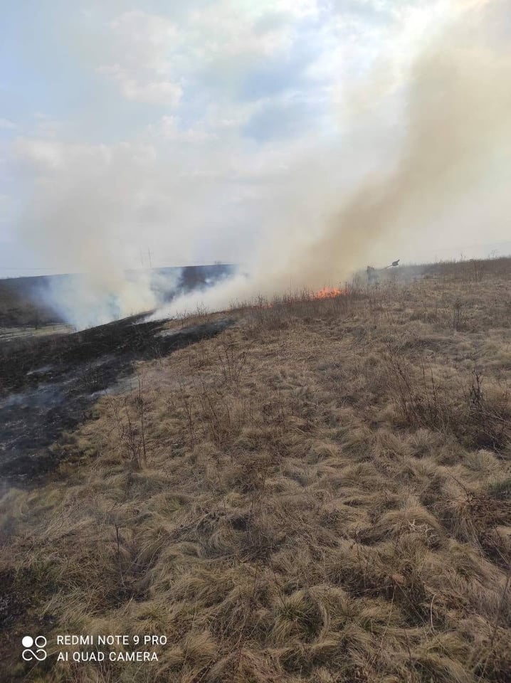 На Вінниччині рятувальники за добу 14 разів гасили пожежі в екосистемах