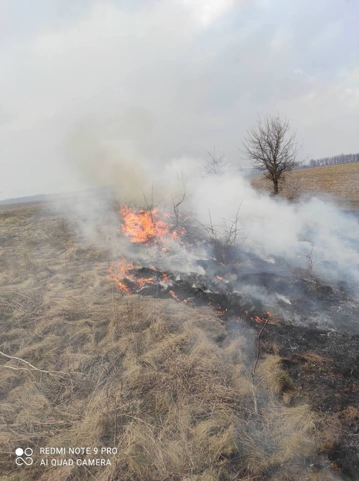 На Вінниччині рятувальники за добу 14 разів гасили пожежі в екосистемах