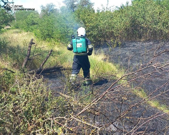 Чотири пожежі на відкритих територіях сталися на Вінниччині