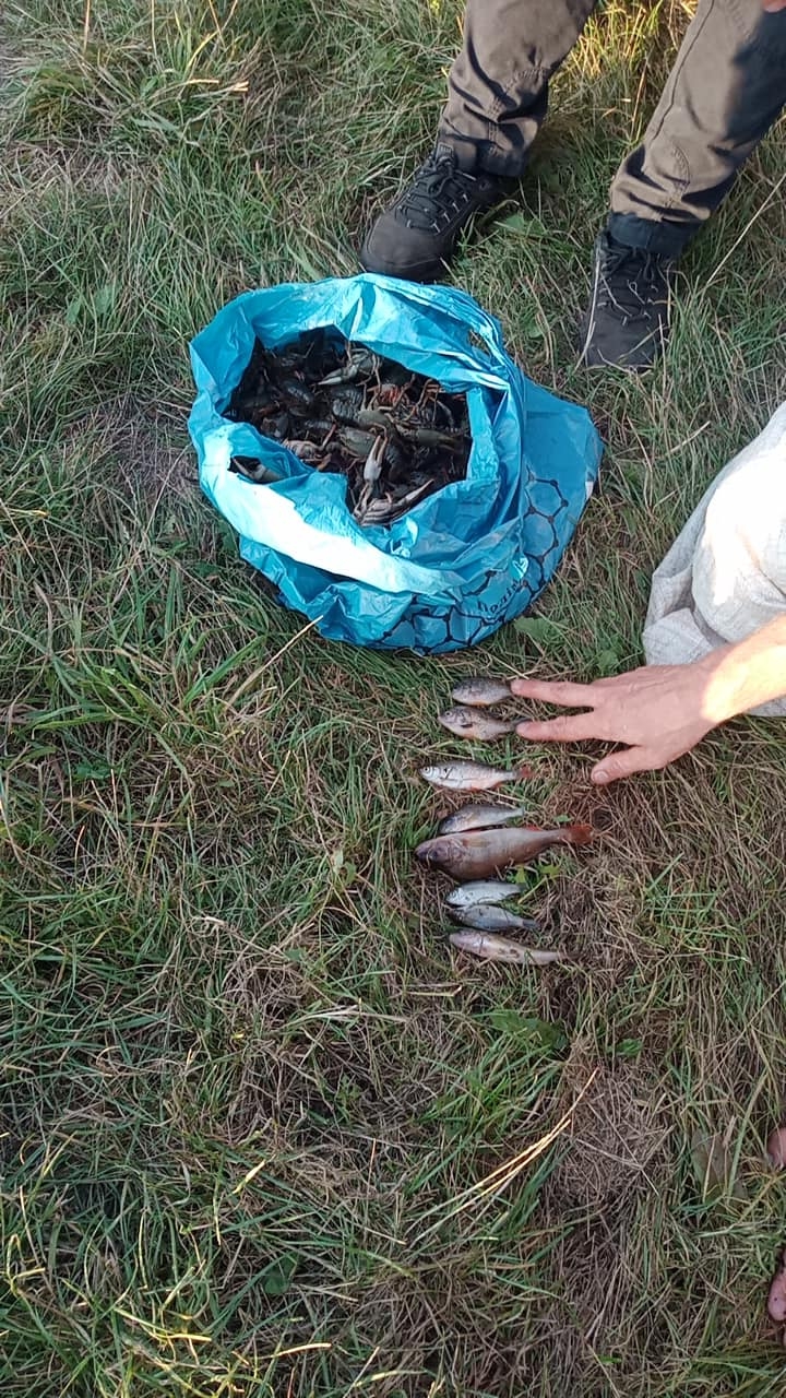 На Гайсинщині браконьєр волочком наловив раків та риби на понад 390 тис. грн