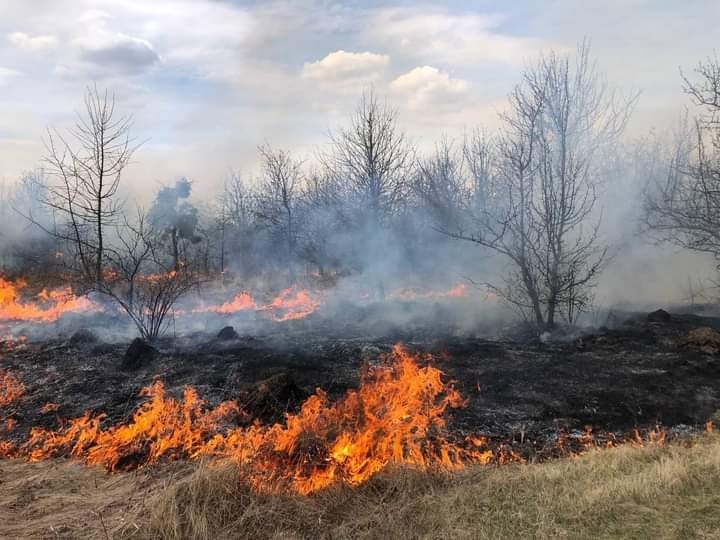 За добу на Вінниччині сталося 37 пожеж в екосистемах ВІТА ТБ 