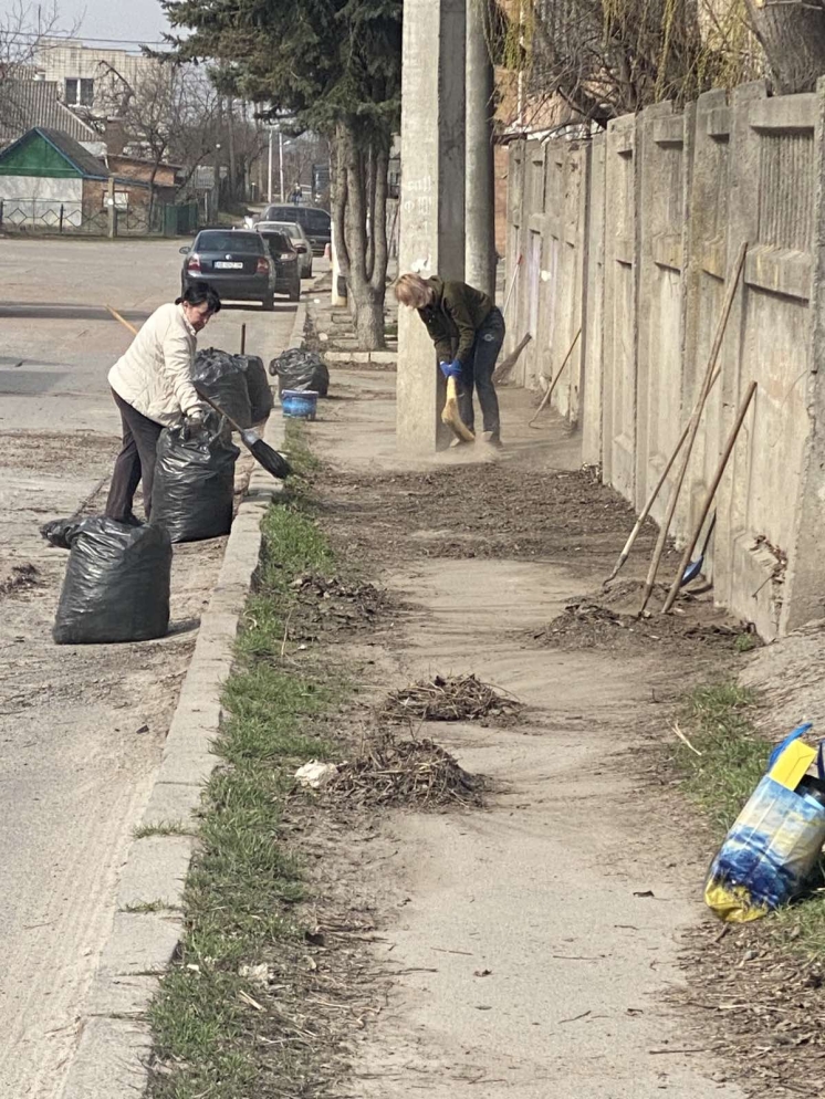 У Вінниці на акції «За чисте довкілля» прибрали 30 ділянок приватного сектора