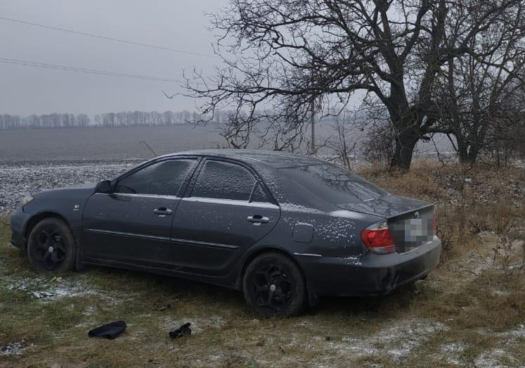 У Гайсинському та Тульчинському районах викрадали автомобілі