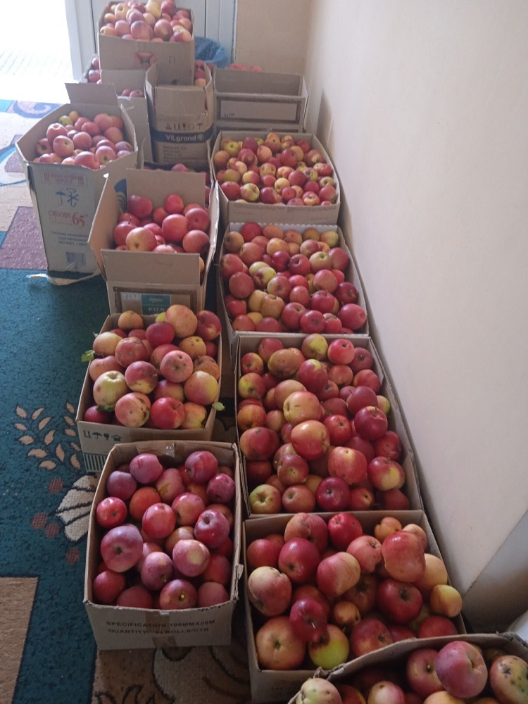 Жителі Калинівської громади передали яблука з церковного саду захисникам