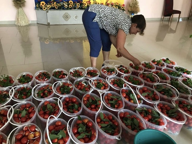 На Калинівщині заквасили понад 170 відер огірків та томатів для захисників