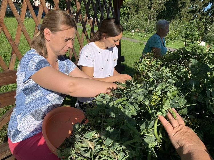 У закладах освіти Калинівської громади заготовляють на зиму овочі та ягоди
