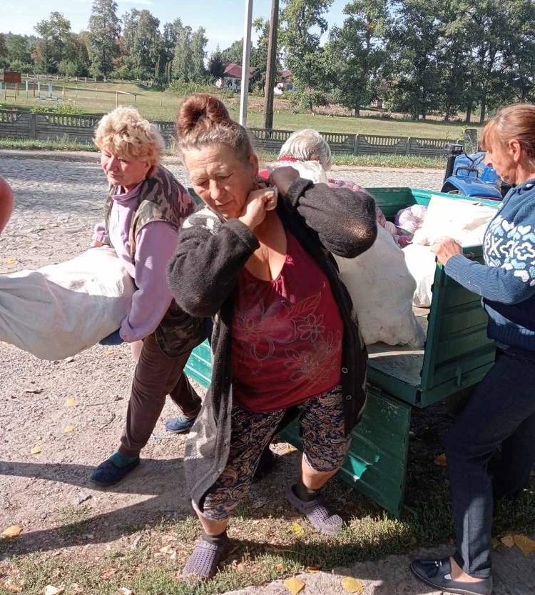 На Вінниччині для лікарні жителі самі зібрали кілька тонн овочів та фруктів