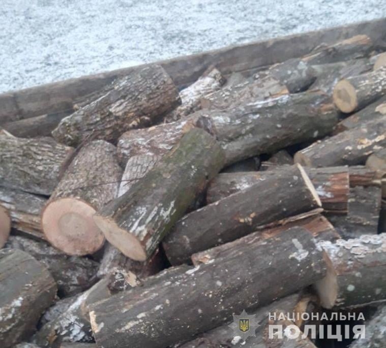 У Чернівецькому районі водій вантажівки незаконно перевозив деревину