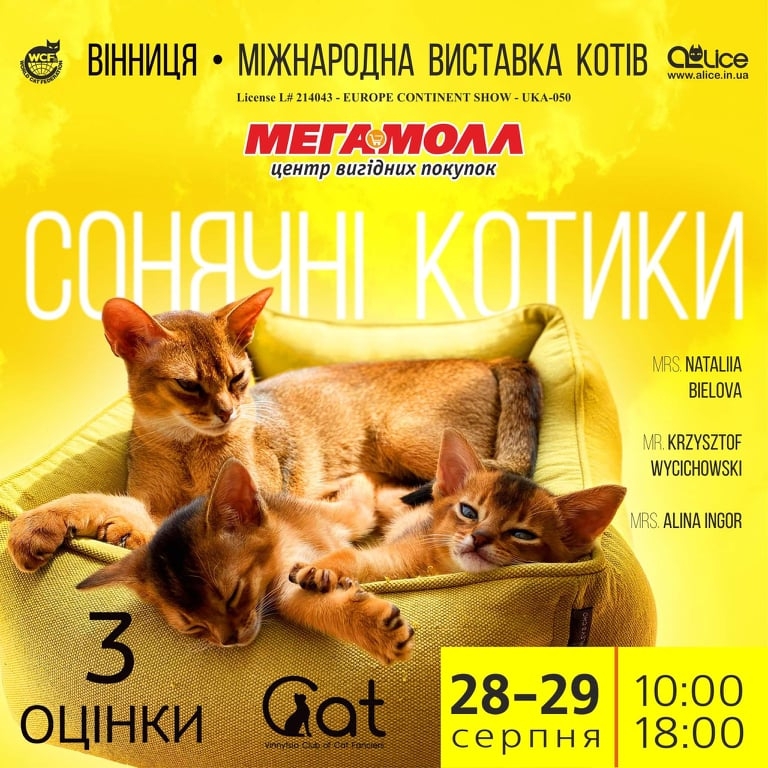 У Вінниці відбудеться міжнародна виставка котів