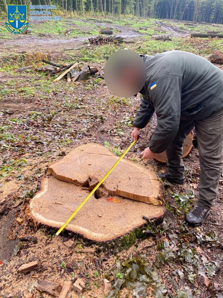 На Вінниччині через недбалість вирубали дерев на майже 900 тис. грн