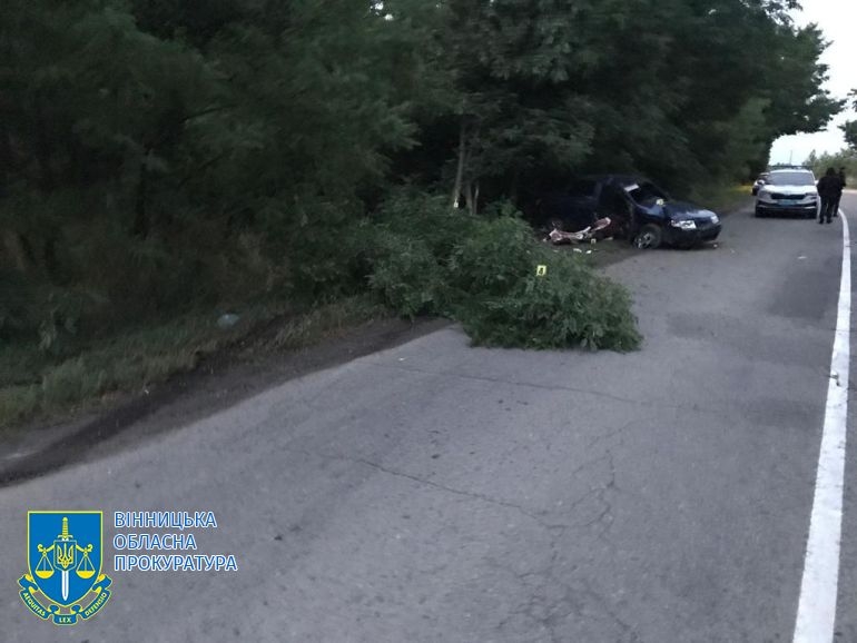 Судитимуть водія, який в'їхав у дерево на трасі у Вінницьких Хуторах