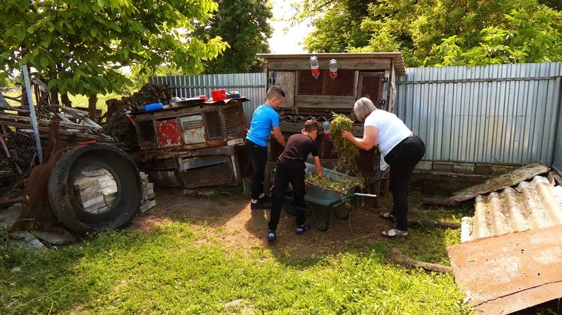 12-річний хлопчик з Вінниччини розводить та продає кроликів, аби зібрати гроші для ЗСУ