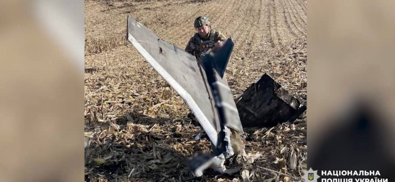 В кукурудзі на Вінниччині аграрії знайшли уламки ворожих дронів та крилатих ракет