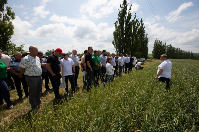 Вінницькі аграрії випробовують нову технологію для покращення результатів