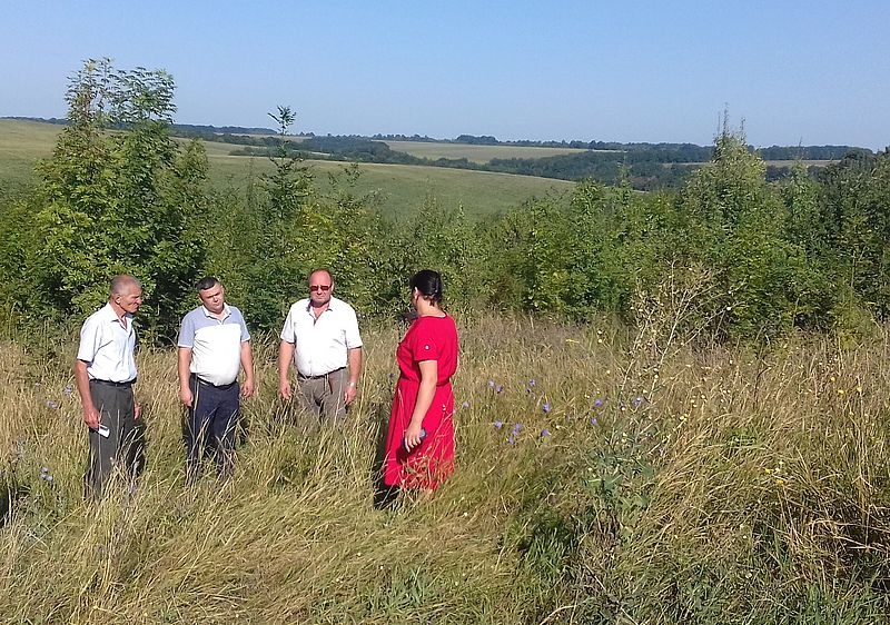 На Вінниччині виділили нові ділянки під заліснення