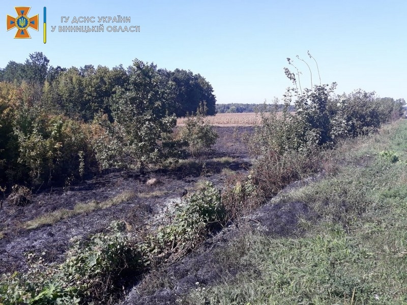 На Вінниччині за добу через необережність з вогнем згоріло 3 га сухої трави