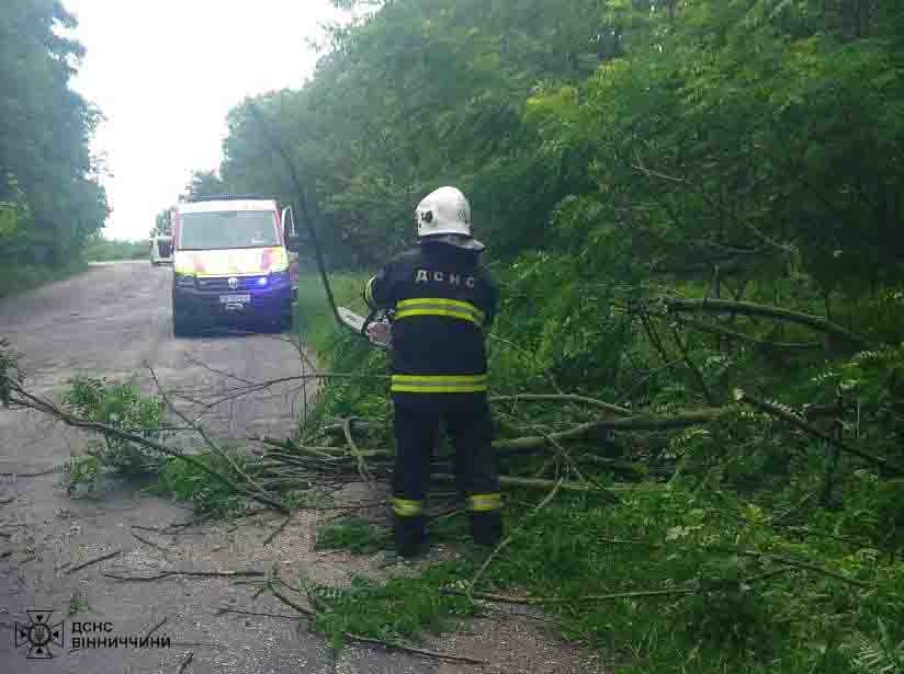 Сильний вітер повалив дерева у п'ятьох районах Вінниччини