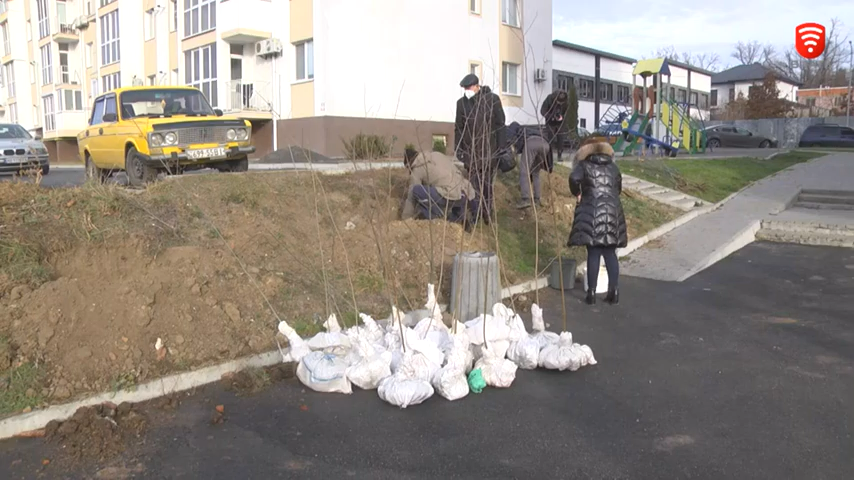 Зелене перевтілення двору по вулиці Генерала Гандзюка у Вінниці