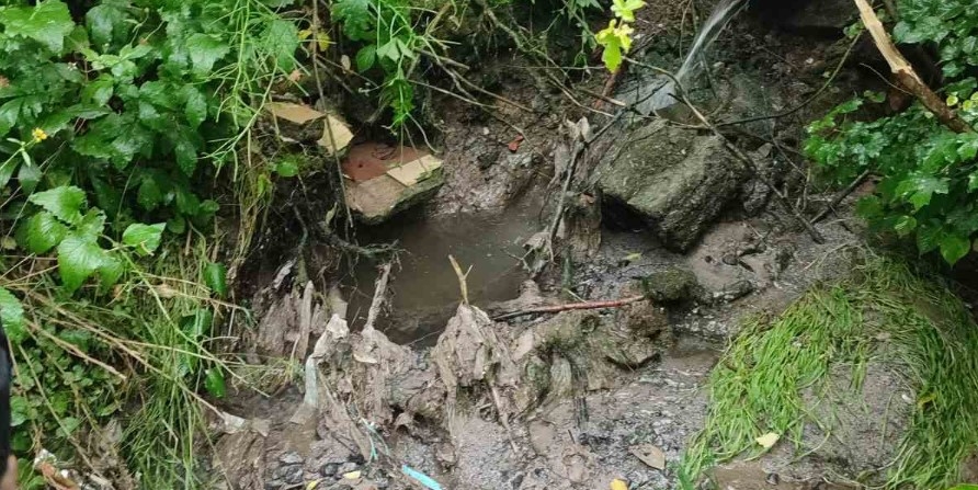 Нейбайдужий вінничанин повідомив про забруднення струмка - воду перевірили екологи