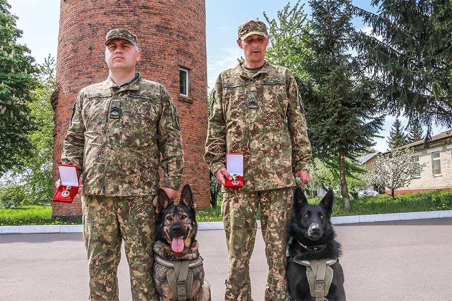 Службових собак Червоної Калини нагородили медалями За віддану службу