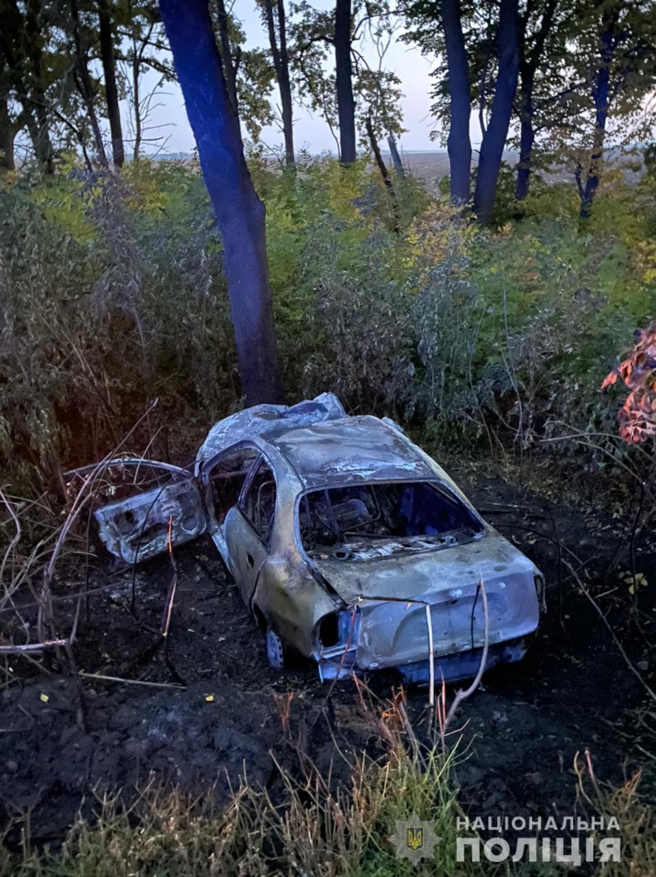 В Гайсинському районі авто зіштовхнулось із деревом та загорілось: водій загинув