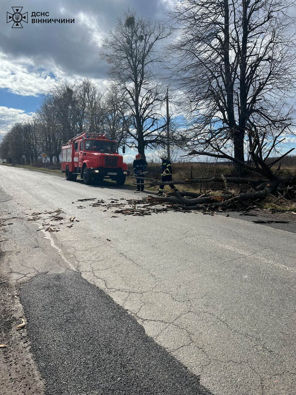 На Вінниччині рятувальники прибрали повалені вітром дерева з автошляхів
