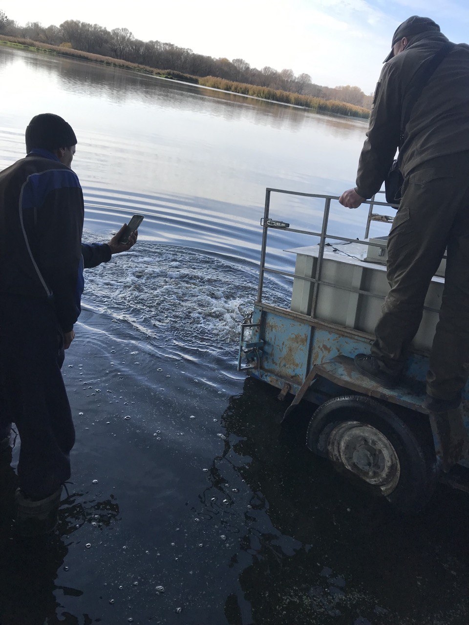 У Сутиське водосховище у Ворошилівці випустили майже 900 кг риби
