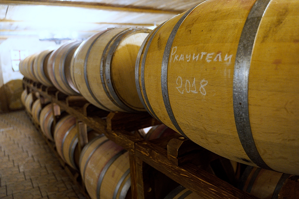 Гості з Франції про вінницьке вино – не поступається всесвітньо відомим бургундським винам