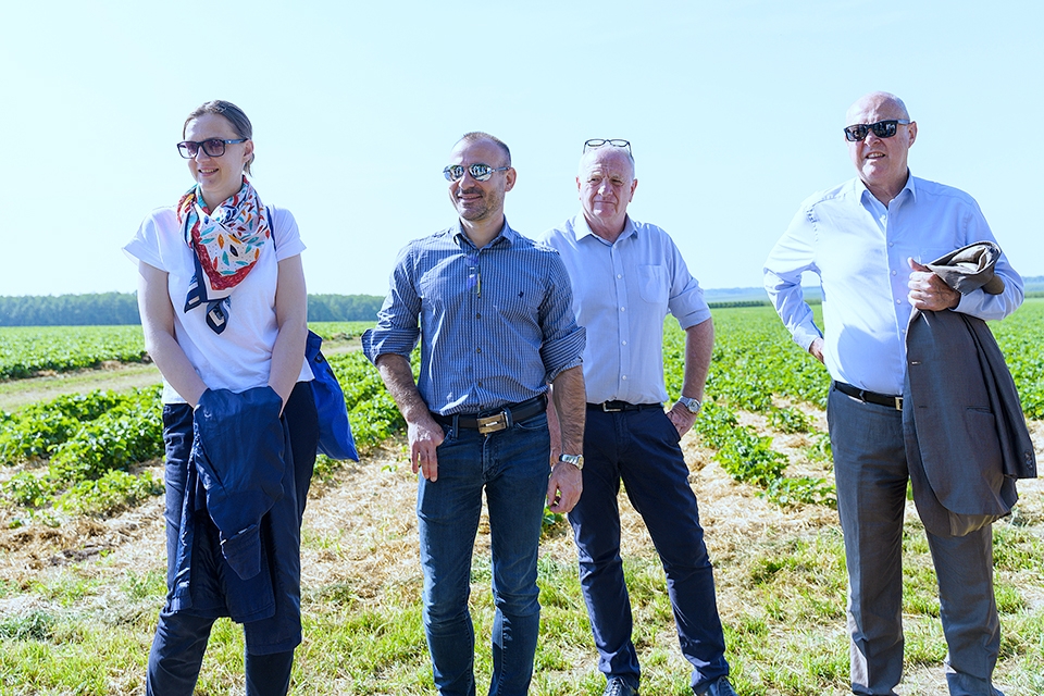 Французька делегація побувала на угіддях, де вирощують полуницю, та на заводі "Аграна Фрут Україна"