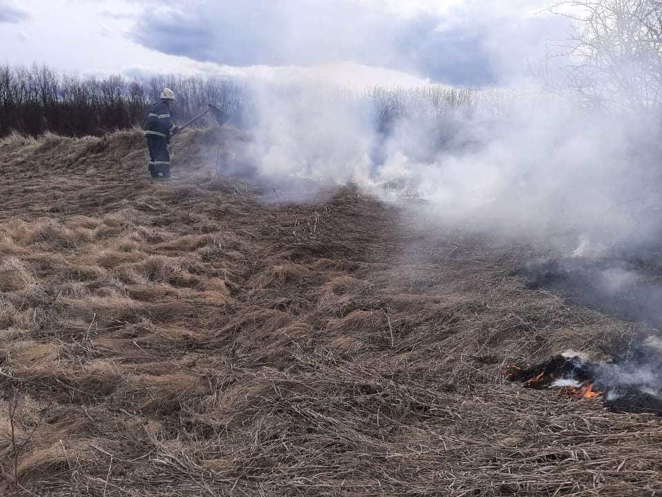 Минулої суботи на Вінниччині вигоріло 7 гектарів  сухої трави