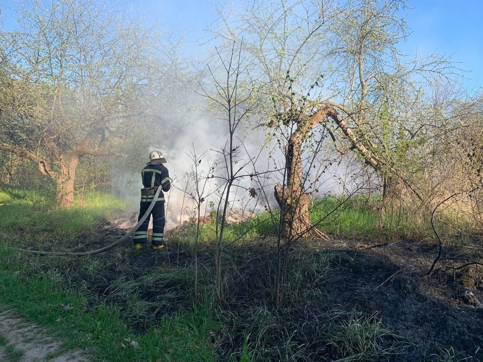На Вінниччині за добу вогонь знищив близько 6 гектарів сухого настилу