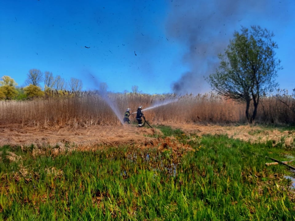 6 пожеж за добу: на Вінниччині майже щодня горять екосистеми