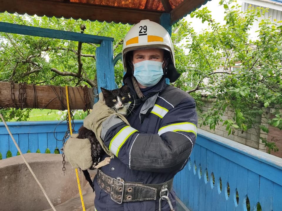 У Четвертинівці з 20-метрової криниці рятували кота