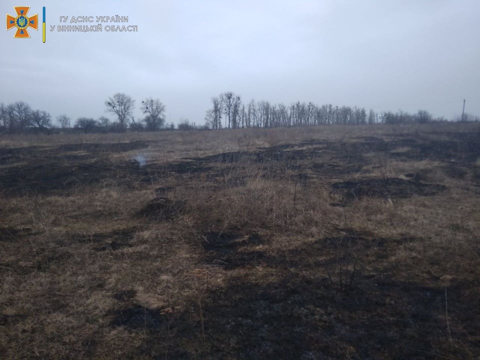 За добу на Вінниччині сталося три пожежі в екосистемах