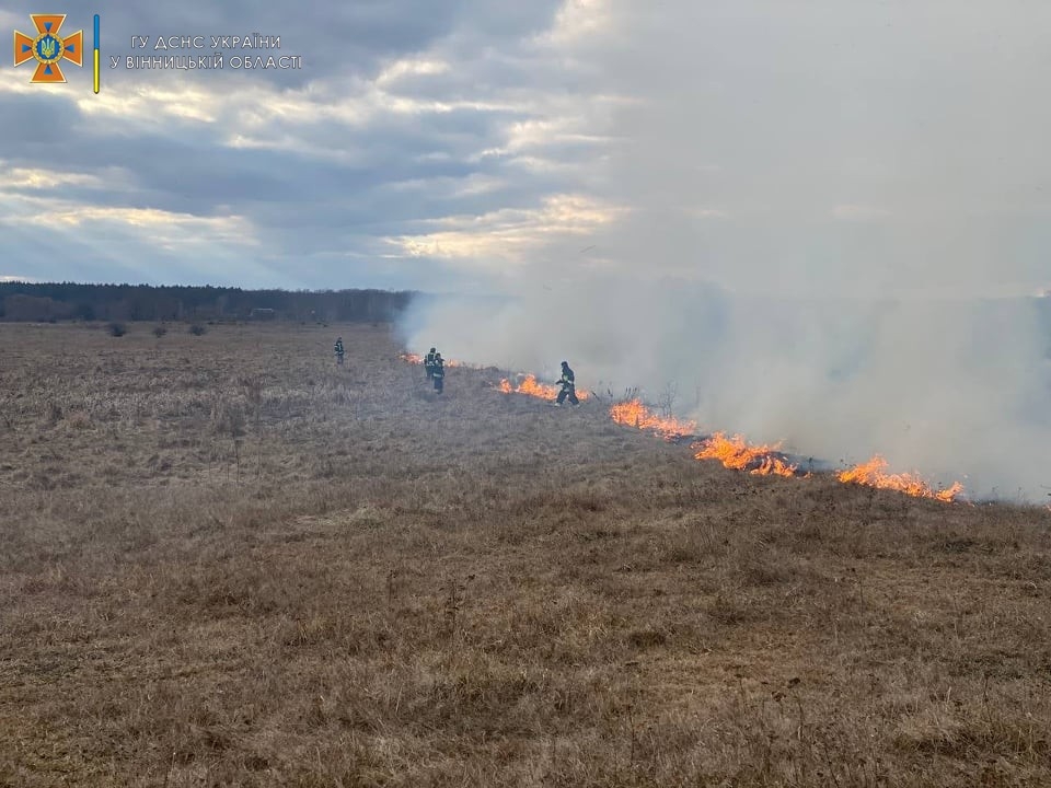 За добу на Вінниччині сталося понад 20 пожеж в екосистемах