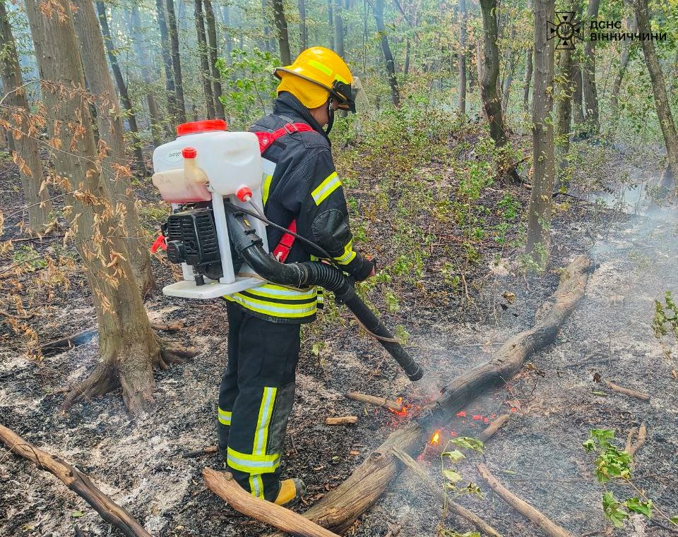 У Жмеринському районі вогонь обпалив майже три гектари землі