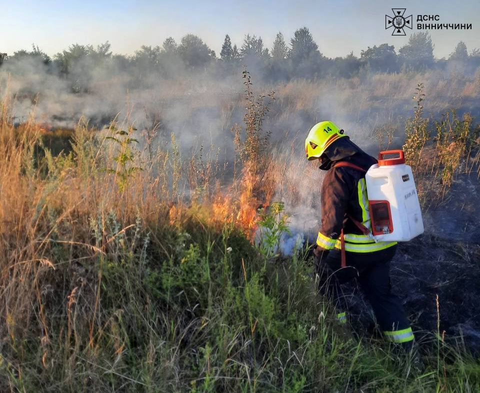 На Вінниччині полум’я охопило територію на площі двох гектарів