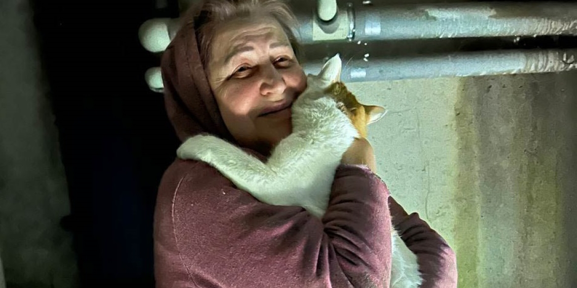 У Вінниці врятували котика, який застряг між бетонними плитами