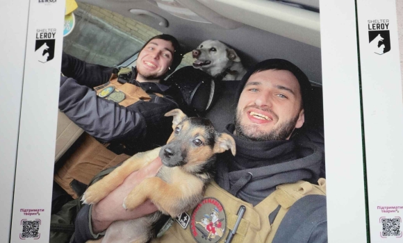 «Евакуація життя» у Вінниці відкрили зворушливу виставку про порятунок тварин з-під обстрілів «Евакуація життя» у Вінниці відкрили зворушливу виставку про порятунок тварин з-під обстрілів