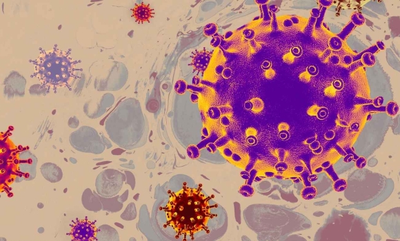 «Цикада» вже на Вінниччині у регіоні зафіксували перший випадок нового субваріанту COVID-19 «Цикада» вже на Вінниччині у регіоні зафіксували перший випадок нового субваріанту COVID-19